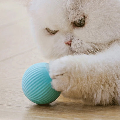 Rechargeable Interactive Cat Ball